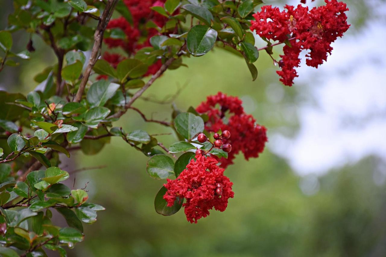 Washington Coulter Farmstead Bed & Breakfast エクステリア 写真