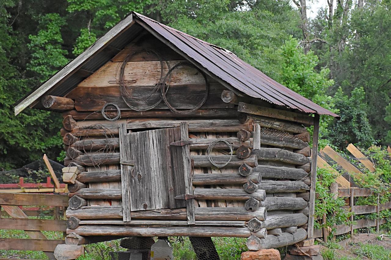 Washington Coulter Farmstead Bed & Breakfast エクステリア 写真