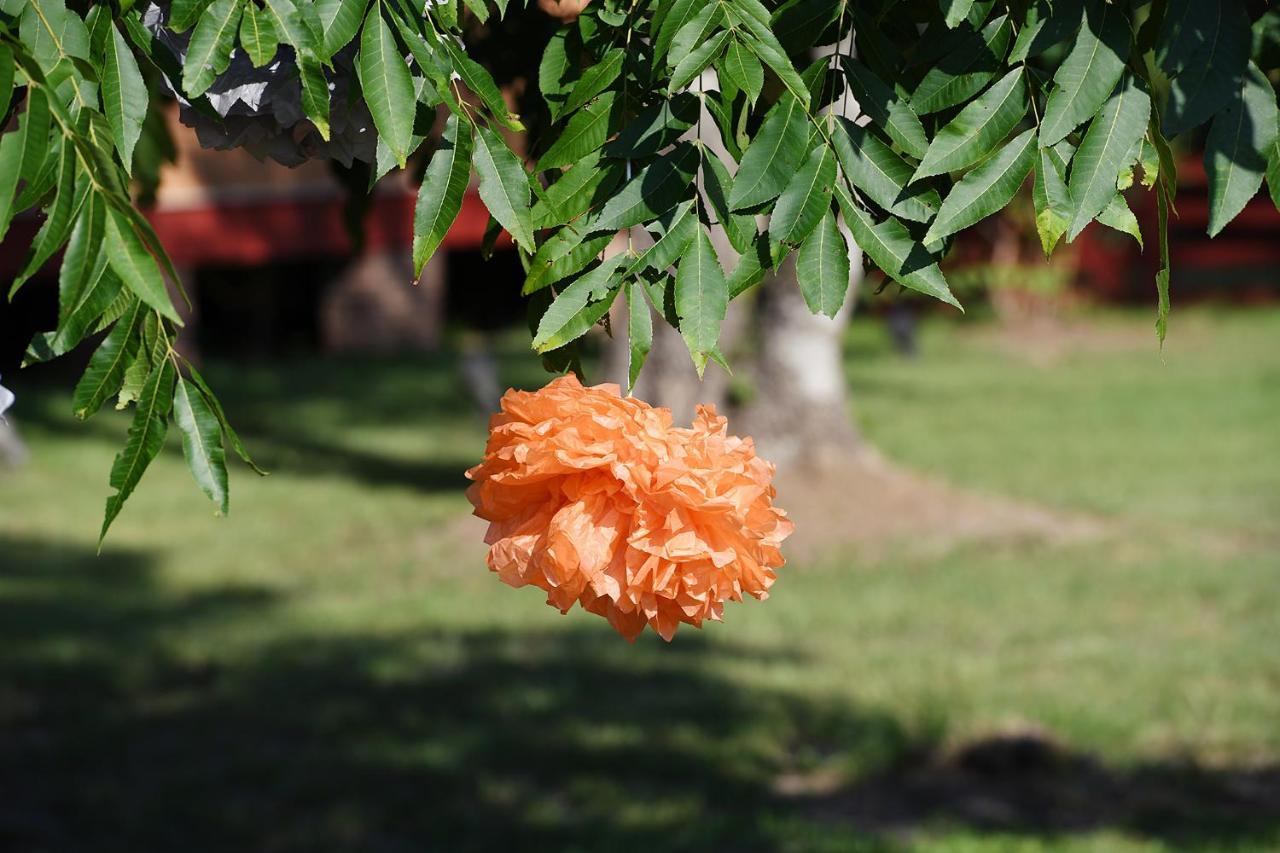 Washington Coulter Farmstead Bed & Breakfast エクステリア 写真