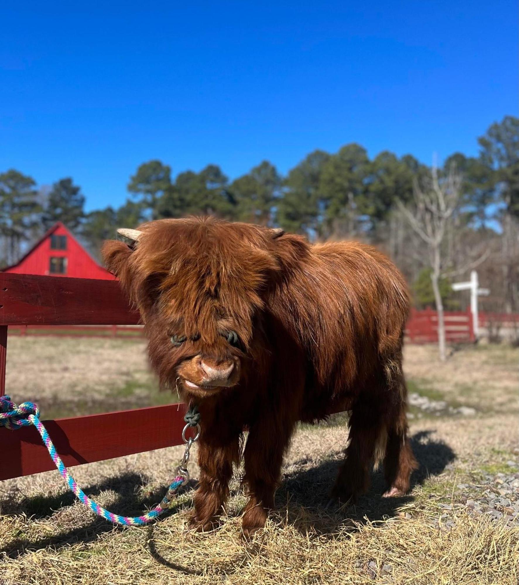 Washington Coulter Farmstead Bed & Breakfast エクステリア 写真